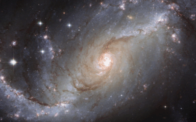 Open Up to the Creative Universe